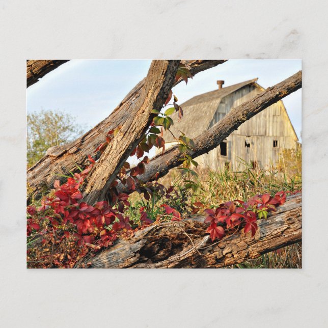 Carte Postale Michigan Barn and Fall Color (Devant)