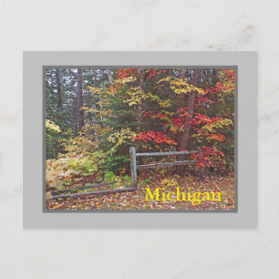 CARTE POSTALE "MICHIGAN"/COULEURS D'AUTOMNE ET DE LA CLÔTURE DU