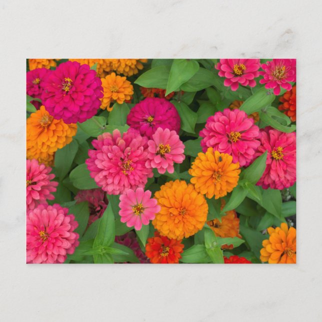 Carte Postale Michigan, Dearborn, Greenfield Village. De près (Devant)