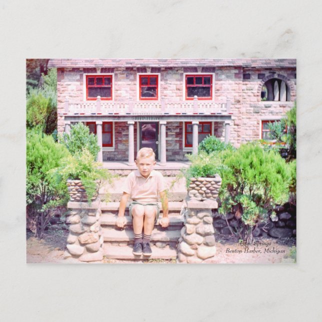 Carte Postale Michigan Eden Springs Stone House (Devant)