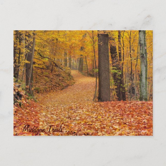 Carte Postale Michigan Trails (Devant)
