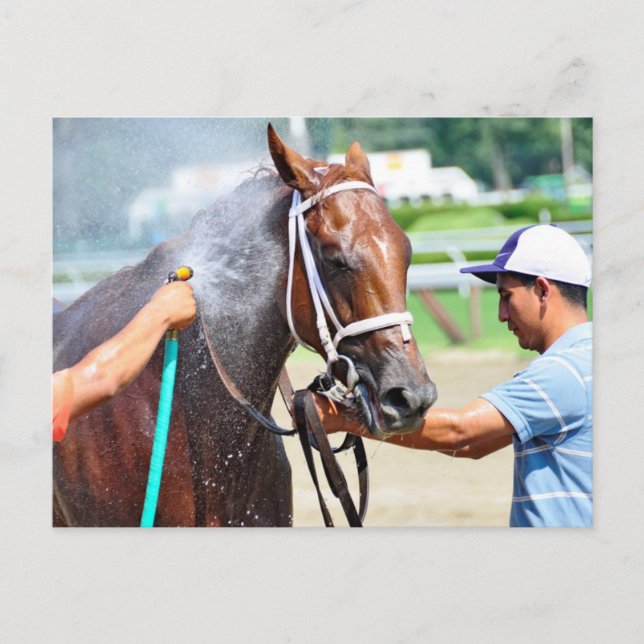 Carte Postale Michonne (Devant)