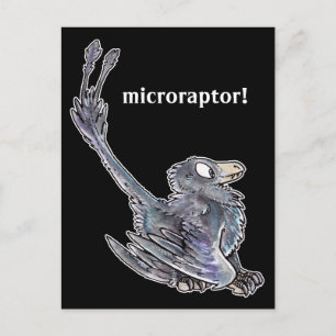 Carte postale Microraptor