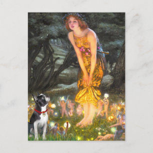 Carte Postale MidEve - Boston Terrier #2