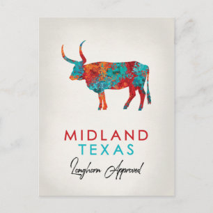 Carte Postale Midland Texas Colorful Longhorn