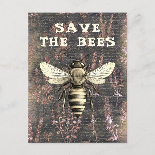 Carte Postale Miel Abeille Sauvez les abeilles Script Monochrome (Devant)