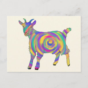 Carte Postale Mignon Art Animal Spirale Coloré Drôle Original Ch