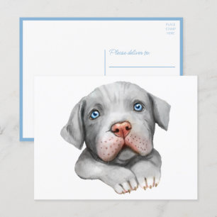 Carte Postale Mignon Chien Amour Pit Bull Pittie Puppy Bonjour P