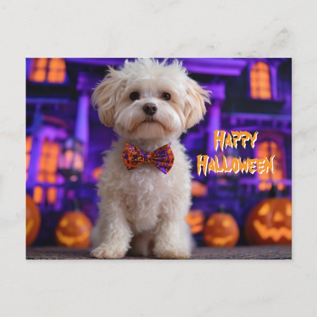 Carte Postale Mignon Chien Joyeux Halloween Maison Hantée (Devant)