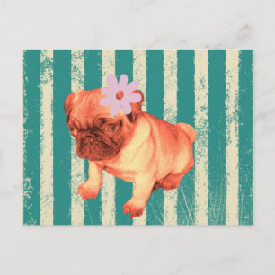Carte Postale mignon chiot marguerite verte rayures triste carli