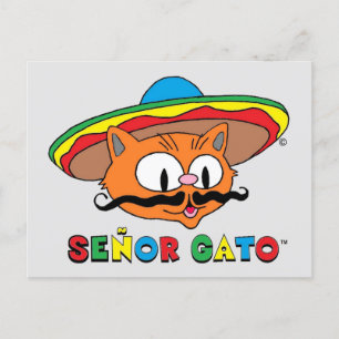Carte Postale Mignon Drôle Coloré Cartoon Chat Cinco de Mayo