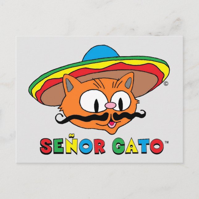 Carte Postale Mignon Drôle Coloré Cartoon Chat Cinco de Mayo (Devant)