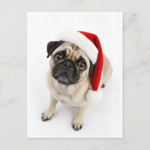 Carte Postale Mignon Faon de Pug avec Chapeau de Père Noël et Ye