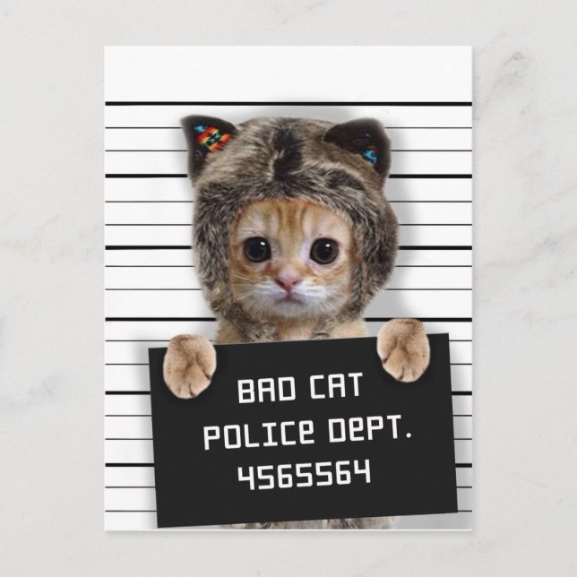 Carte Postale Mignonne chat mauvais garçon (Devant)