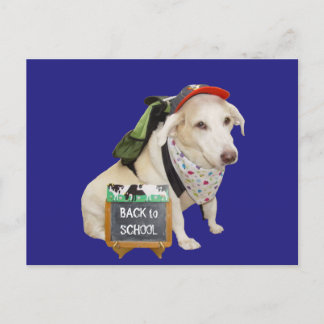 Carte Postale Mignonne Chien drôle Retour à l'école