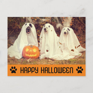 Carte Postale Mignonne chien fantôme d'Halloween
