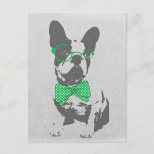 Carte Postale Mignonne drôle animal vintage tendance French bull