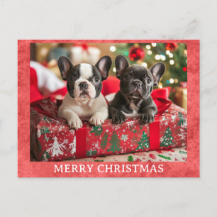 Carte Postale Mignonne French Bulldog Joyeux Noël