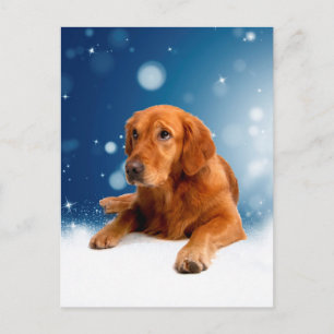 Carte Postale Mignonne Golden Retriever Chien assis dans les éto