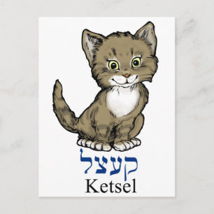 Carte Postale mignonne petite chatte-"ketsel" en yiddish