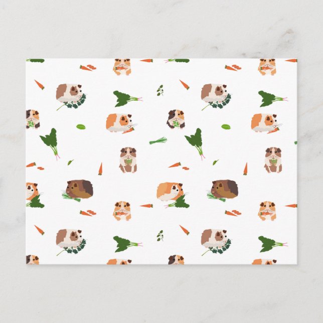Carte Postale Mignons Cochons d'Inde Drôles Motif d'Animaux de C (Devant)
