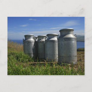 Carte Postale Milk urns