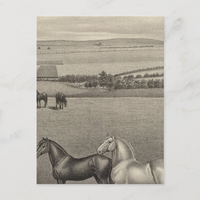 Carte Postale Mill Brae Ranch, Kansas (Devant)