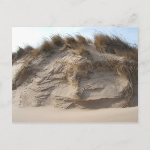 Carte Postale Miller Beach à Gary, Indiana