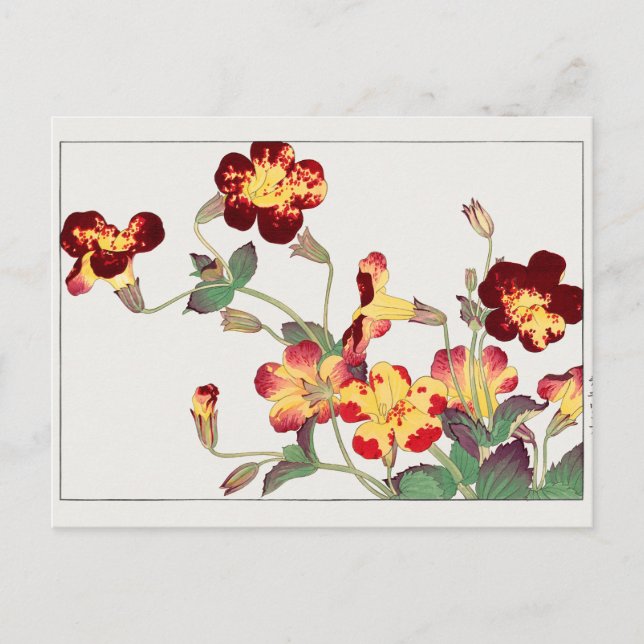 Carte Postale Mimulus luteus par Tanigami Konan (Devant)