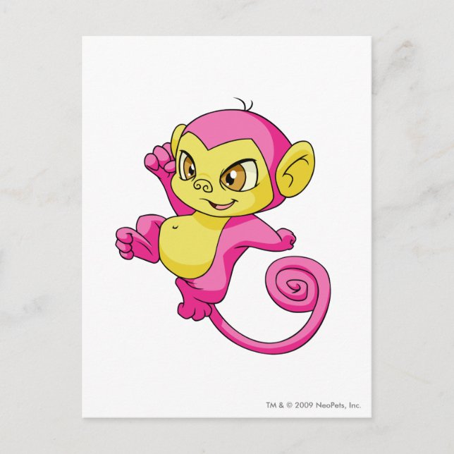 Carte Postale Minci rose (Devant)