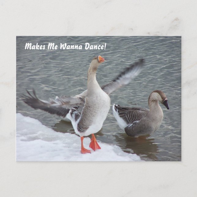 Carte Postale M'incite à vouloir danser ! (Devant)