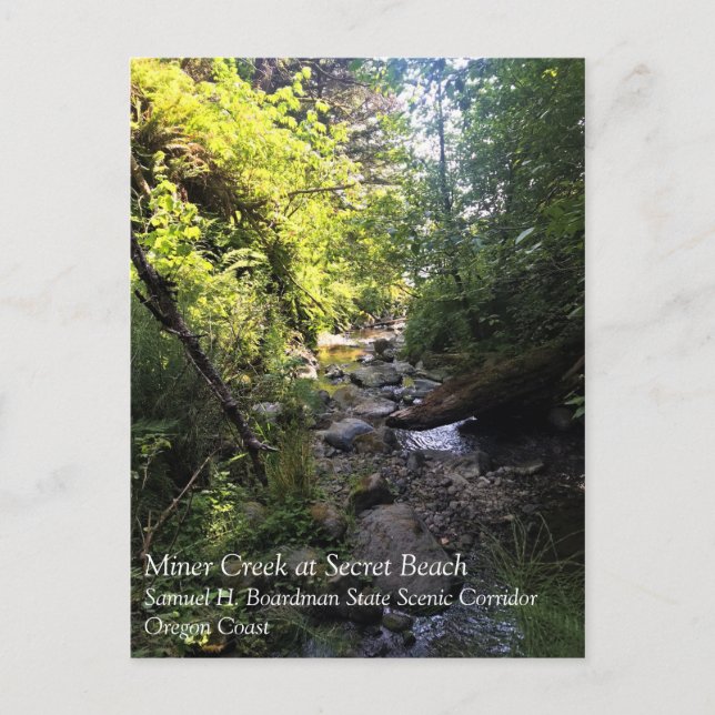 Carte Postale Miner Creek Samuel H. Boardman (Devant)