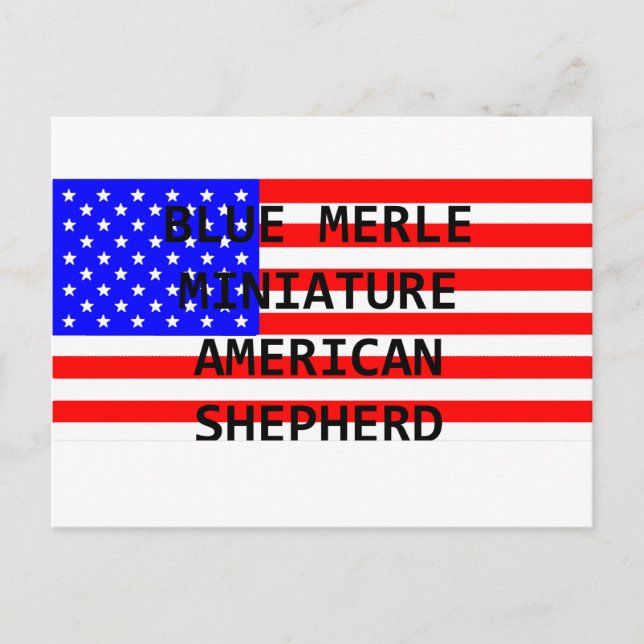 Carte Postale mini aussie nom sur flag blue merle (Devant)