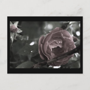 Carte Postale Mini-impression numérique Rose et gouttes-à-goutte