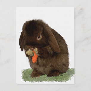 Carte Postale Mini Lapin Lop et carotte