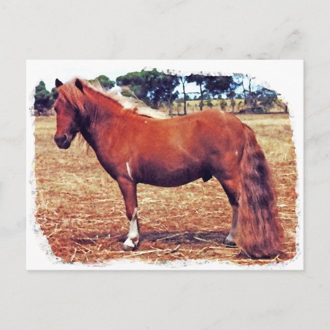 Carte Postale Miniature (Devant)