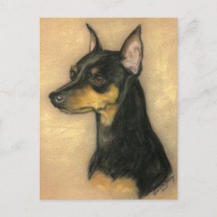 Carte postale Miniature Pinscher Chien Art