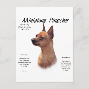 Carte Postale Miniature Pinscher (rouge)