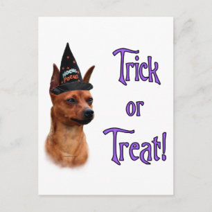 Carte Postale Miniature Pinscher Trick