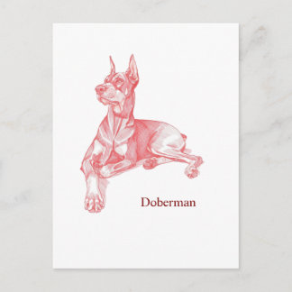Carte Postale Minimalist Red Pencil Doberman Pinscher Sketch 