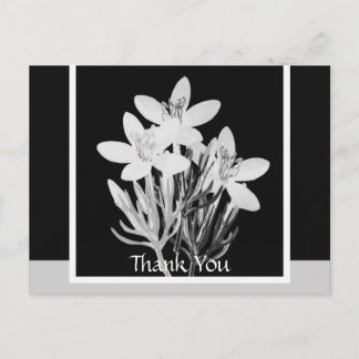 Carte postale minimaliste florale noire et blanche