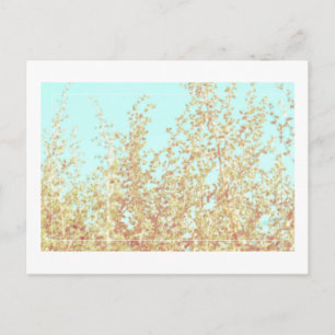 Carte postale minimaliste Saltbush Feuille Sky Fra