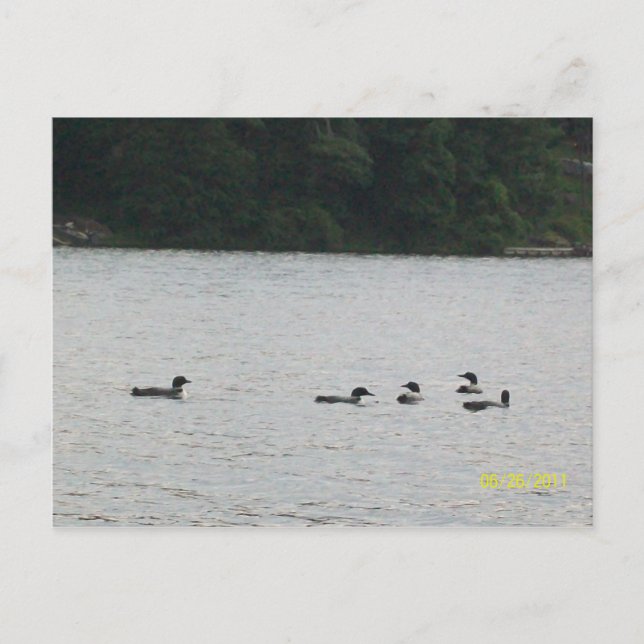 Carte postale Minnesota (Devant)