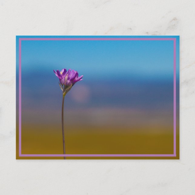 Carte Postale minuscule fleur (Devant)
