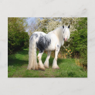 Carte postale "Mirabeau"