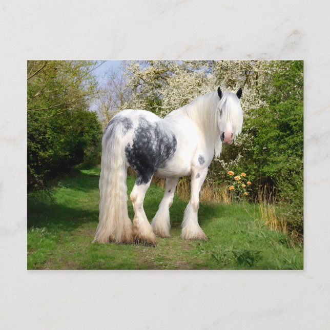 Carte postale "Mirabeau" (Devant)