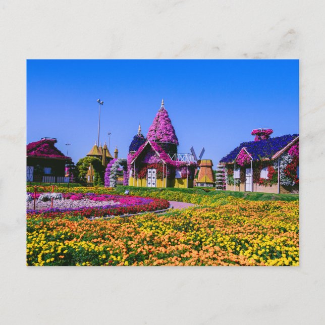 Carte Postale Miracle Garden, maisons fleuries de Dubaï (Devant)