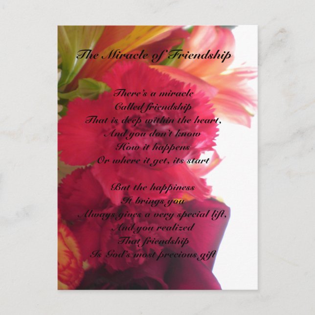 Carte postale Miracle of Friendship (Devant)