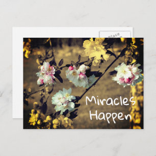 Carte Postale Miracles Happen Spring Blossoms Inspiration Post