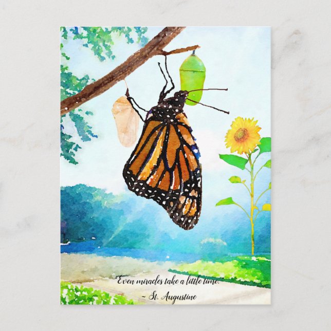 Carte Postale Miracles Monarch Butterfly (Devant)